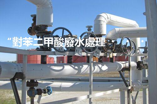 “對苯二甲酸廢水處理，綠色創(chuàng)新引領(lǐng)環(huán)保新篇章”